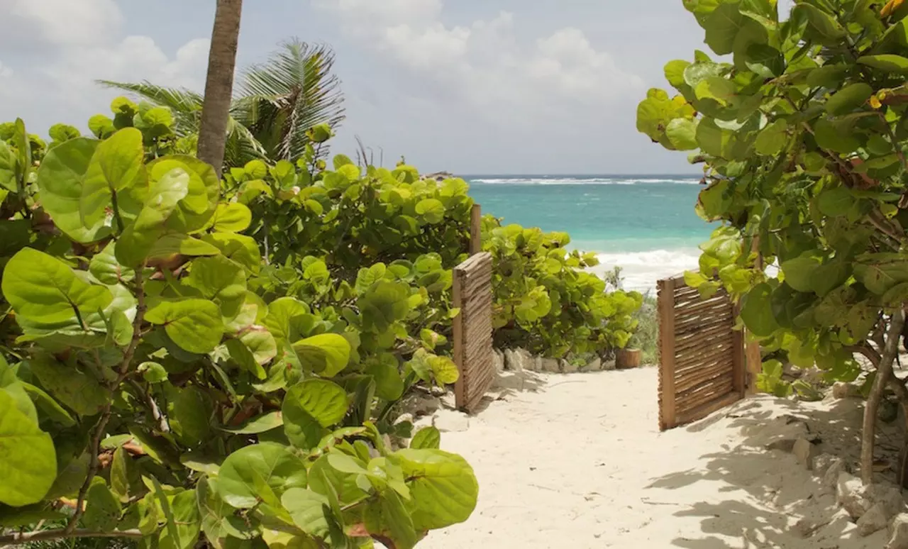 Casa Ixchel in Tulum & Riviera Maya, photo 16 of 38