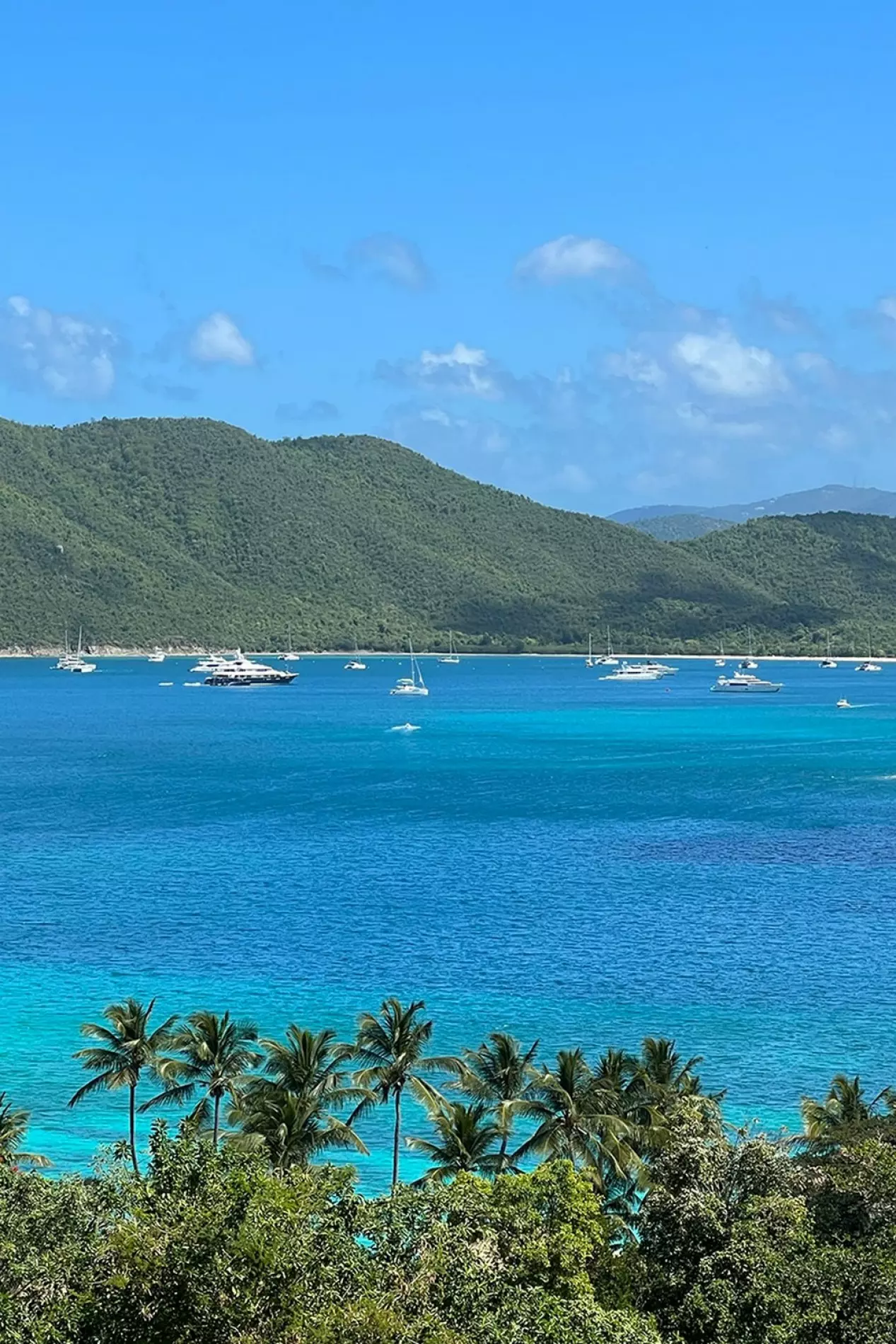 Villa Delfina in British Virgin Islands, photo 26 of 40