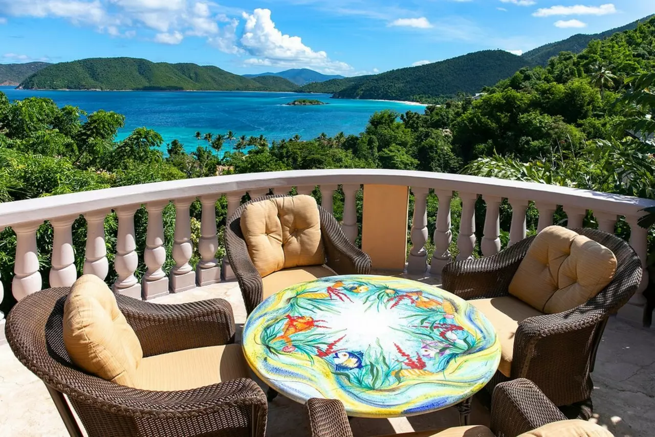 Villa Delfina in British Virgin Islands, photo 24 of 40