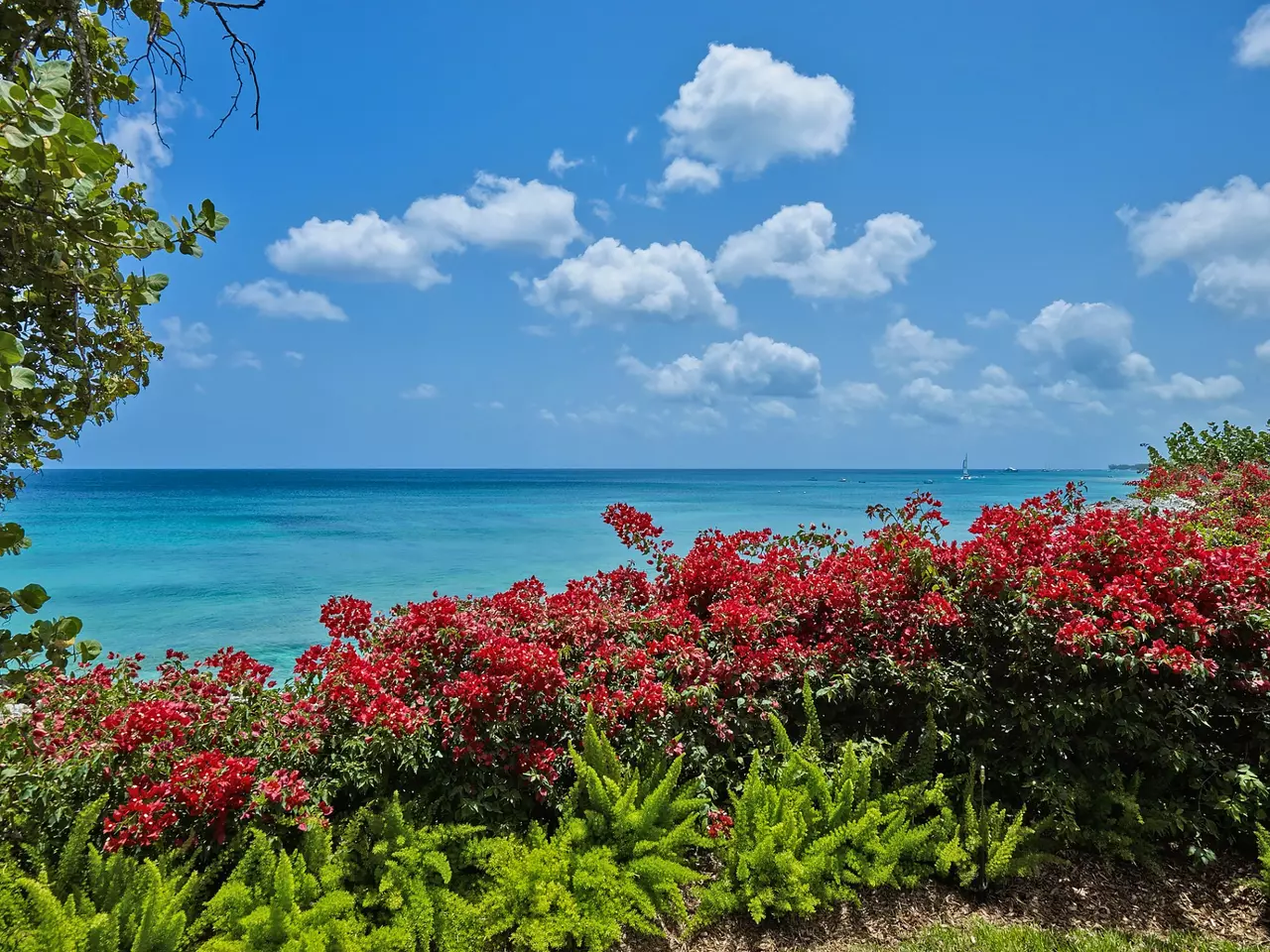 Villa Bound in Barbados, photo 16 of 35