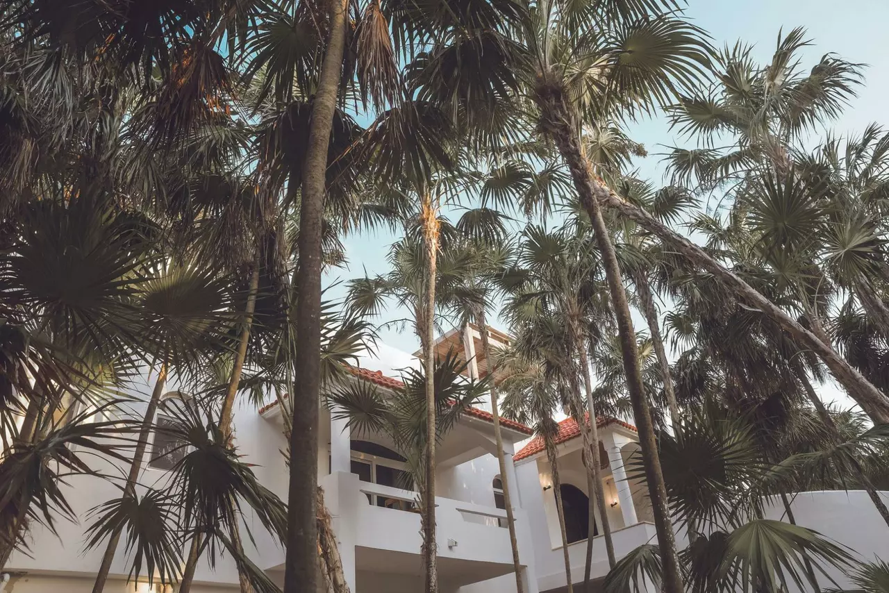Villa Destiny (Marza) in Tulum & Riviera Maya, photo 9 of 28