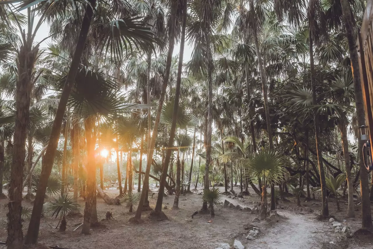 Villa Destiny (Marza) in Tulum & Riviera Maya, photo 8 of 28