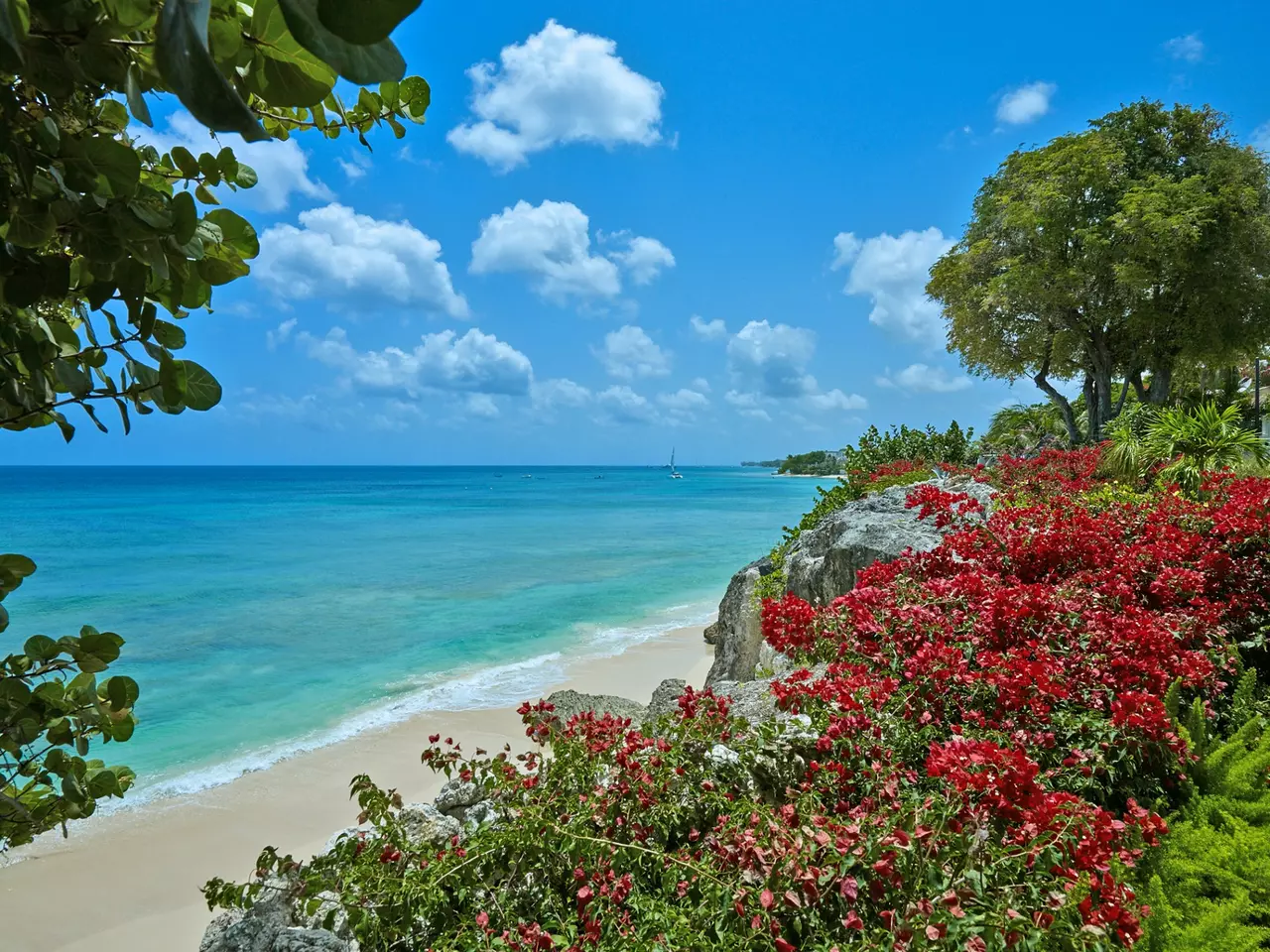 Villa Seaclusion in Barbados, photo 19 of 35