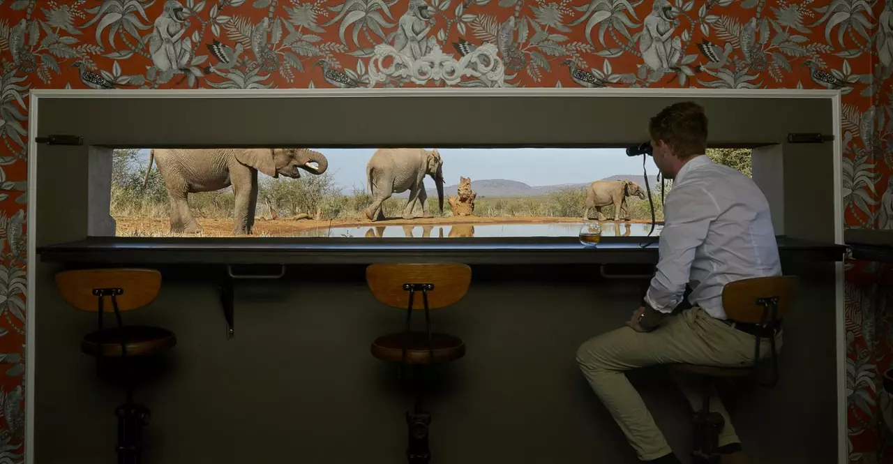 Molori Safari Lodge in Africa & Indian Ocean, photo 20 of 29