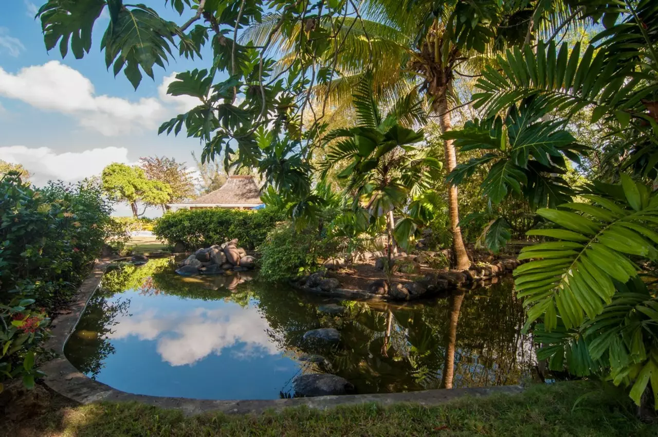 Villa Aston in Other Caribbean Islands, photo 18 of 33