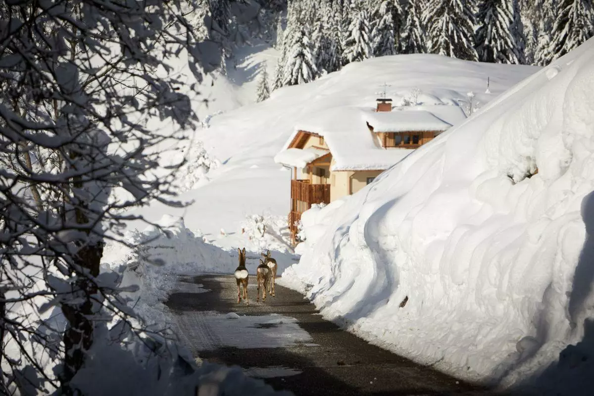 Chalet Sotciastel in Italian Alps, photo 13 of 43