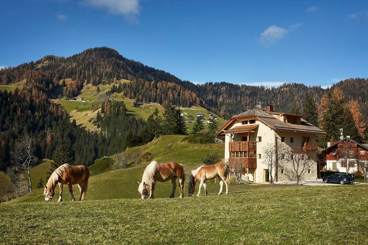 Chalet Sotciastel in Italian Alps, photo 19 of 43