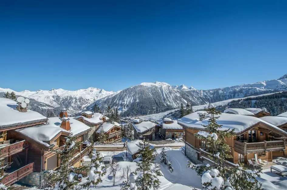 Chalet La Grande Roche in French Alps, photo 10 of 25