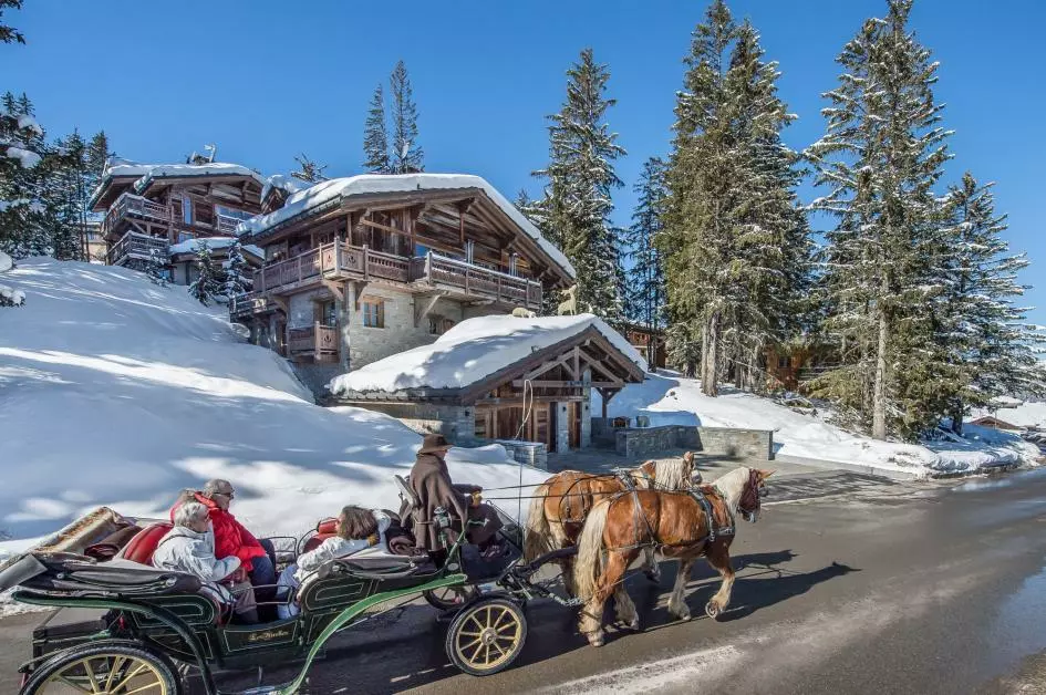 Chalet La Grande Roche in French Alps, photo 14 of 25