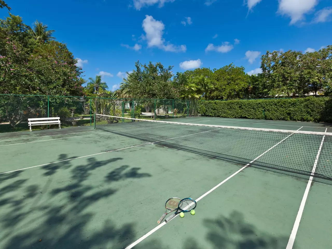 Villa Riviera in Barbados, photo 29 of 42
