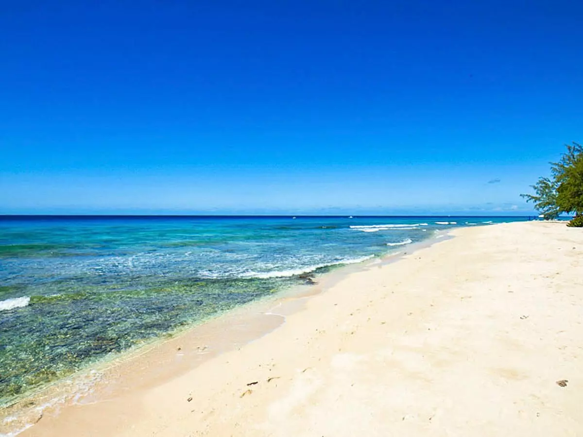 Villa Grand Bois in Barbados, photo 11 of 18