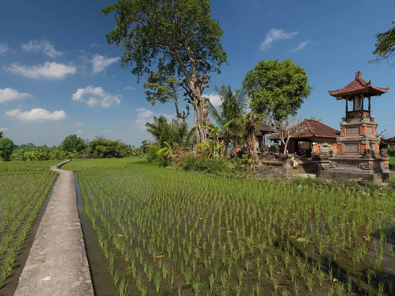 Seseh Tanah Lot 6709 - Seseh Beach Villa II in Bali, photo 13 of 29
