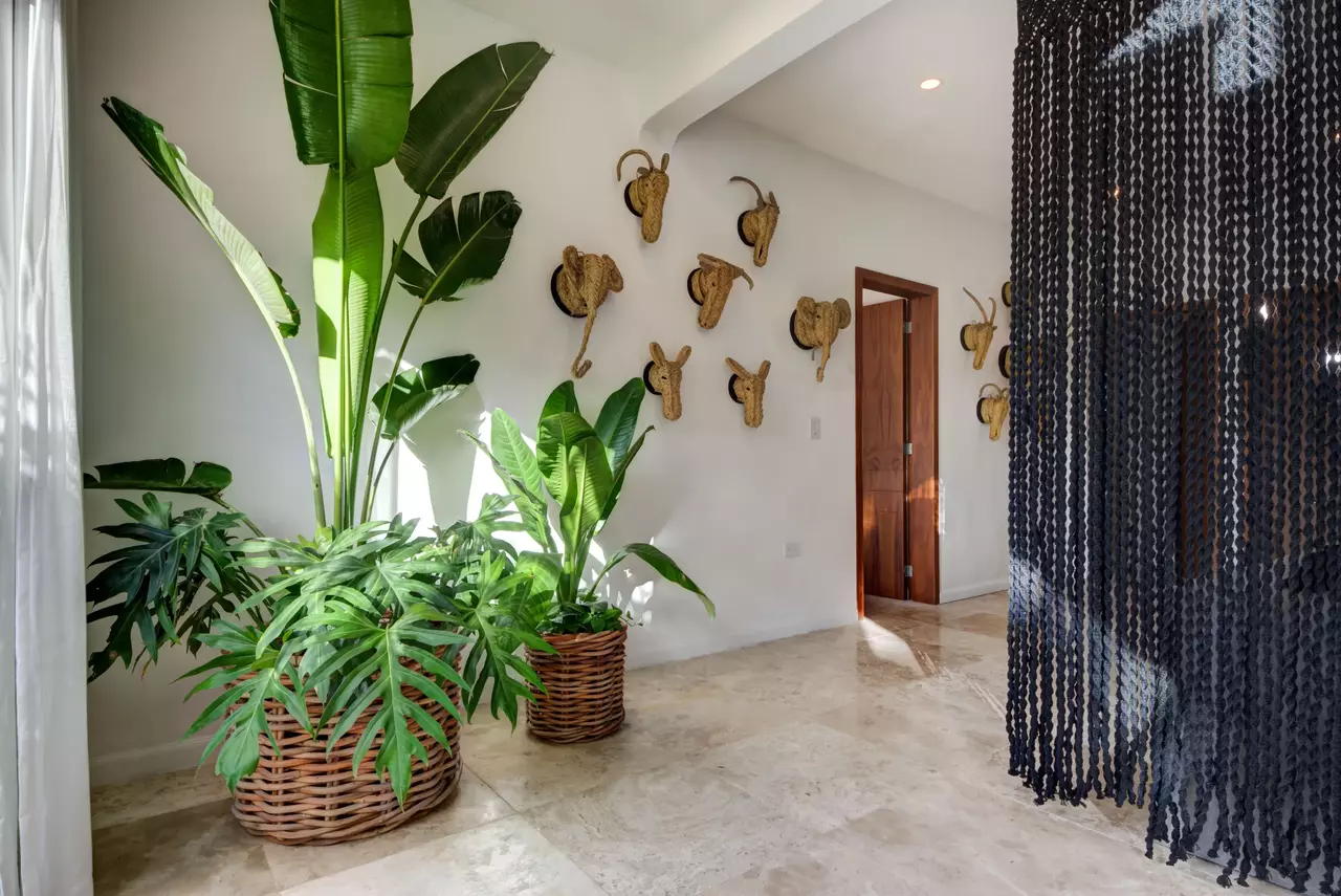 Casa Cenote in Tulum & Riviera Maya, photo 9 of 30