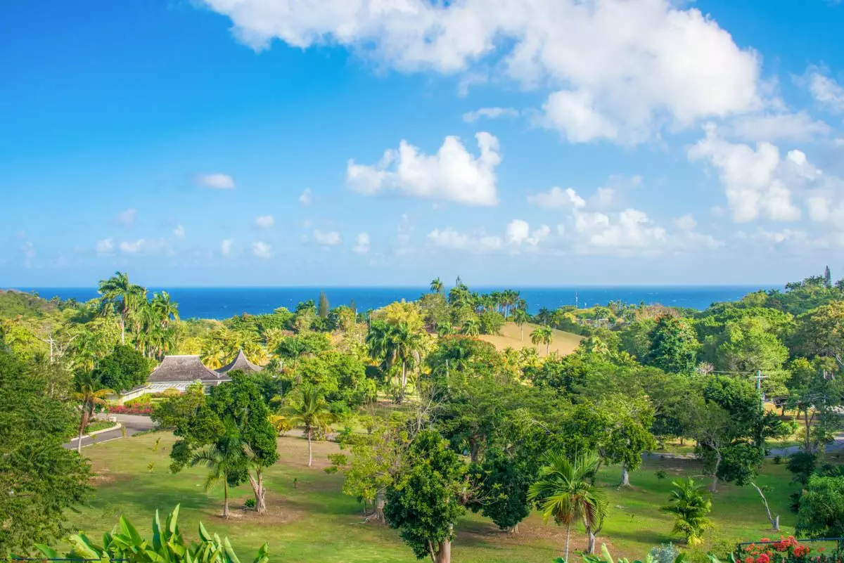 Villa Golden View in Jamaica, photo 23 of 24