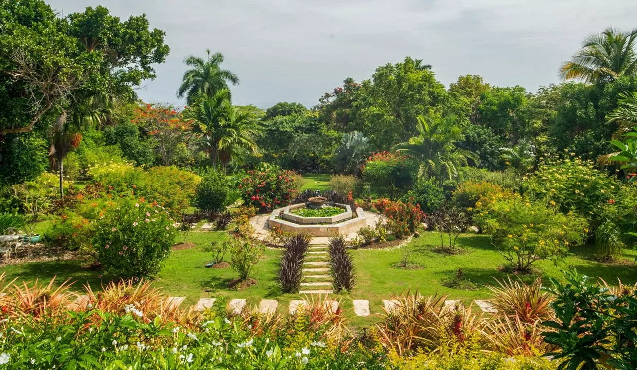 Jubilation at Tryall in Jamaica, photo 12 of 20
