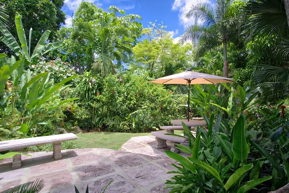 Villa Dreams in Jamaica, photo 28 of 28