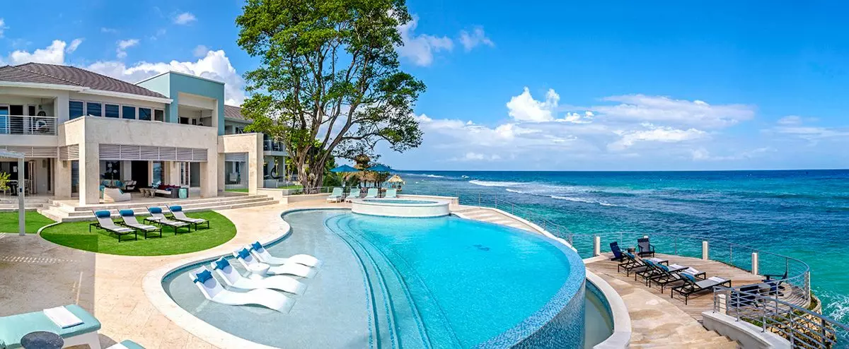 Artwood Reef in Jamaica, photo 3 of 30
