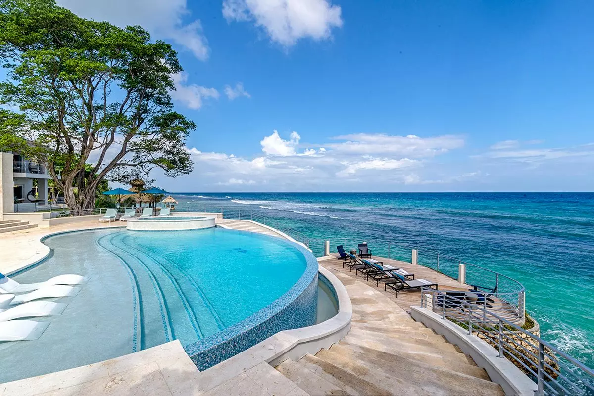 Artwood Reef in Jamaica, photo 9 of 30
