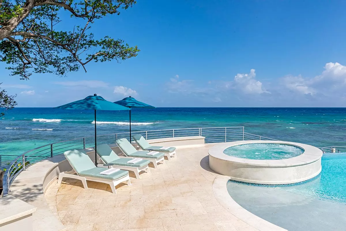 Artwood Reef in Jamaica, photo 15 of 30