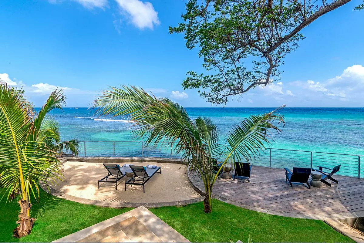 Artwood Reef in Jamaica, photo 17 of 30