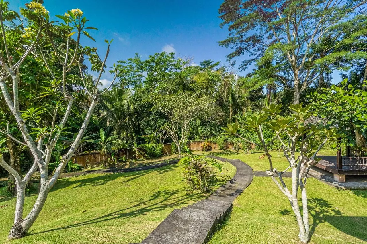 Orchid Villa in Bali, photo 8 of 23