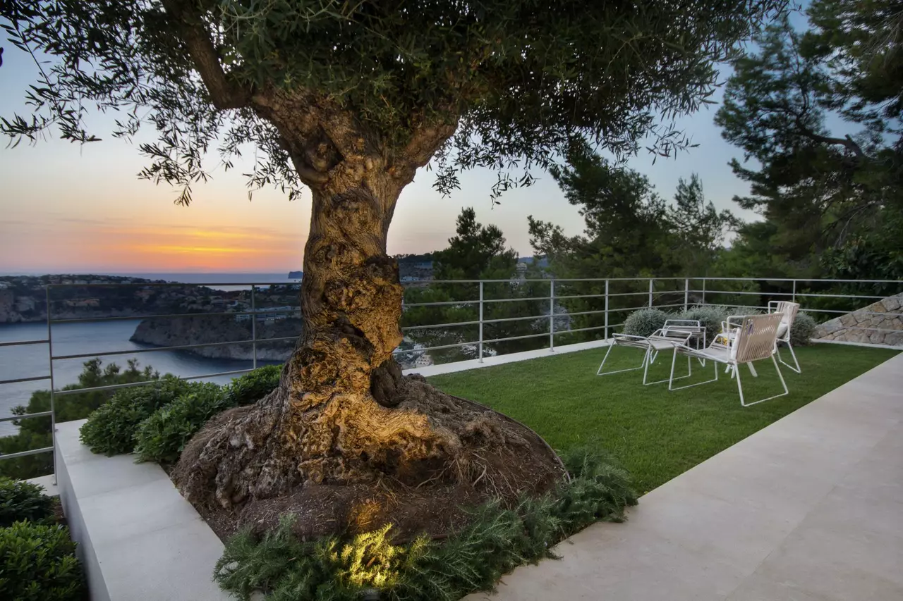Villa Puesta del Sol in Mallorca, photo 8 of 30