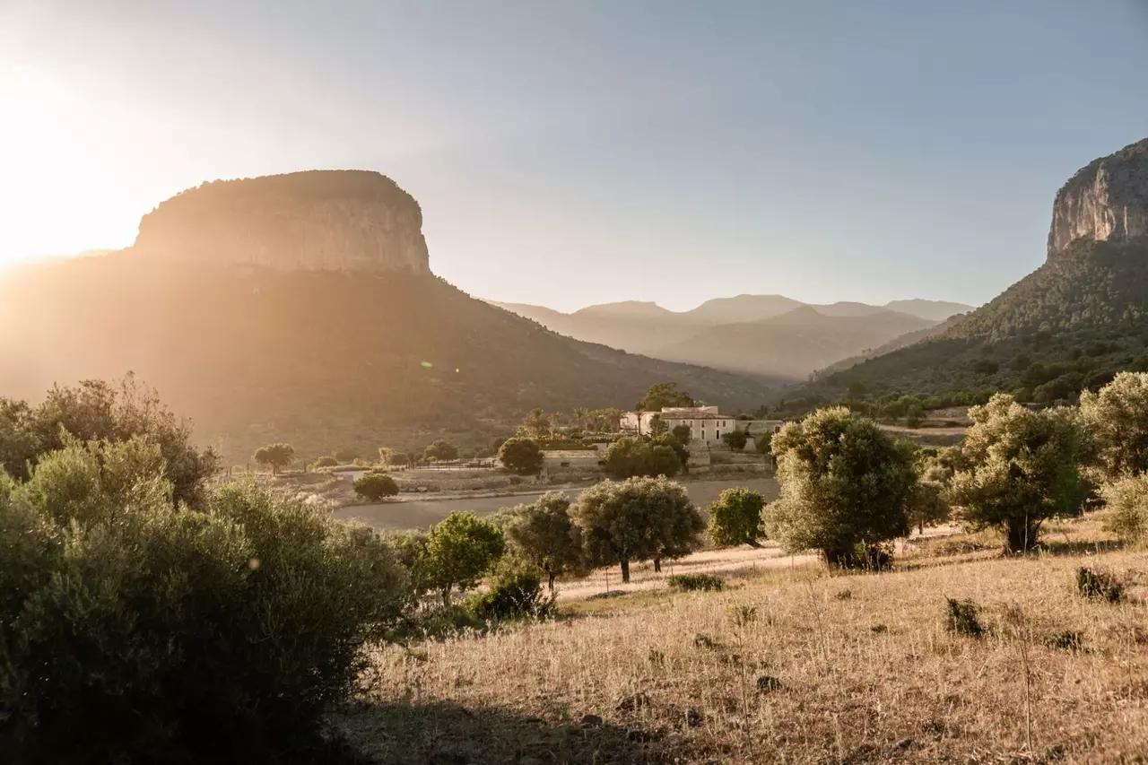 Spirit of Son Fuster Villa in Mallorca, photo 7 of 28