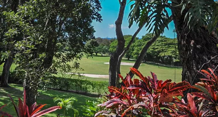 Agostina in Barbados, photo 19 of 20