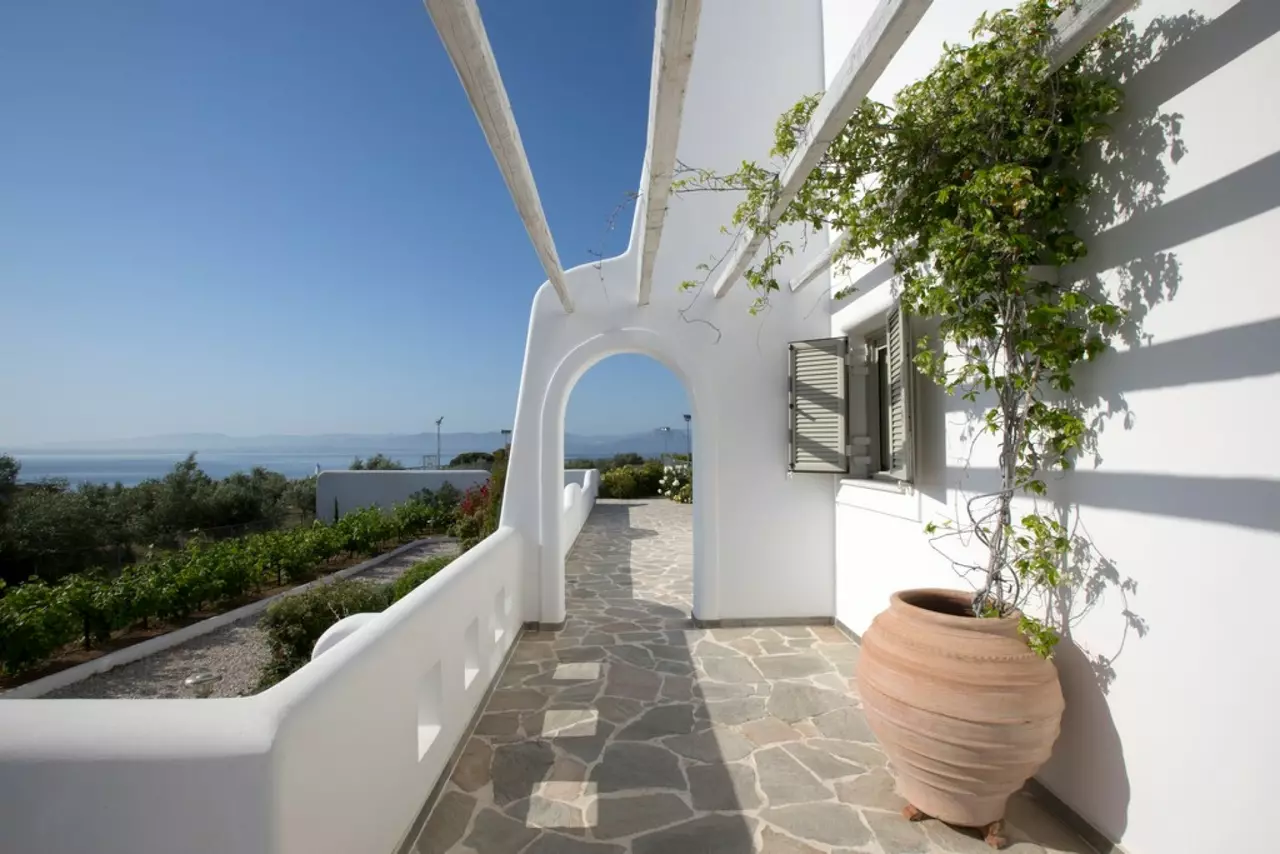 Villa Elena in Mykonos, photo 8 of 51