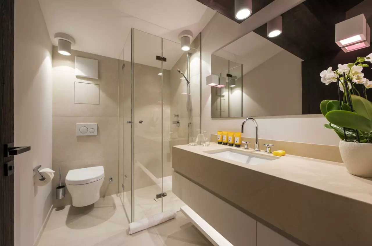 Nidus Penthouse in Lech & Zürs, photo 21 of 24