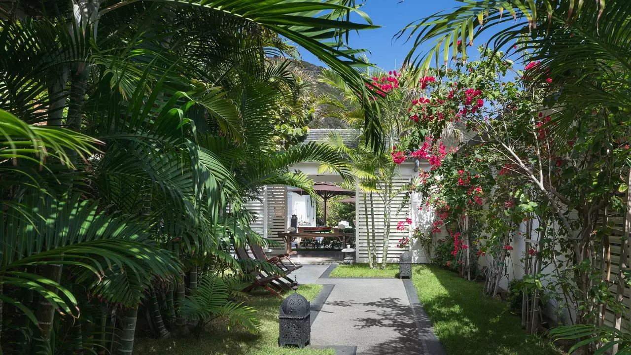 Villa Il Faro in St Barths, photo 9 of 26