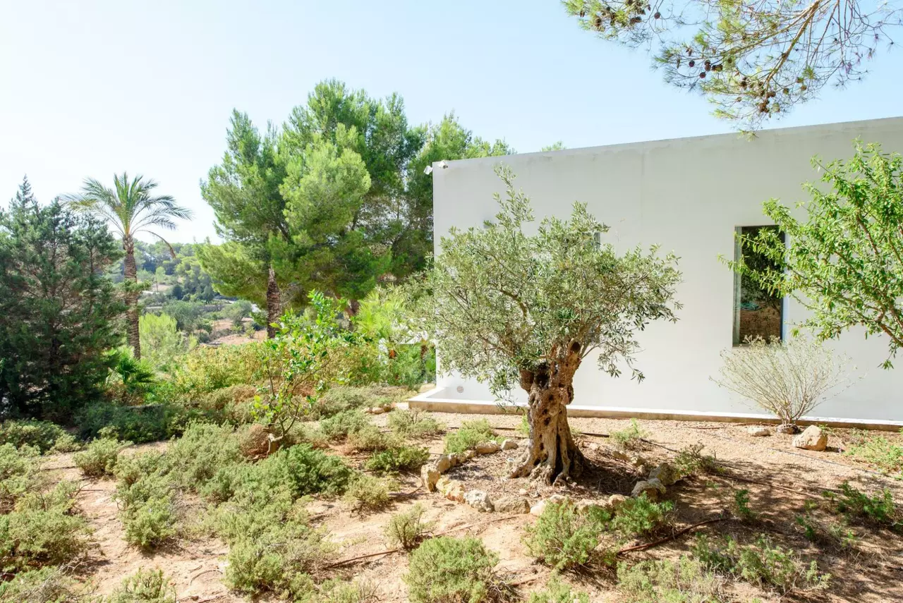 Villa La Fabrica in Ibiza, photo 21 of 37