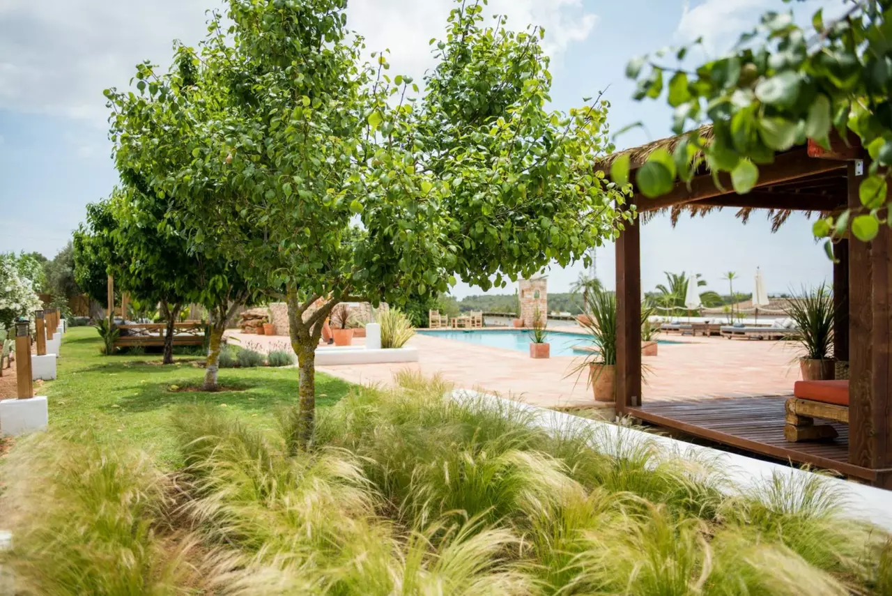 Villa Las Cicadas in Ibiza, photo 13 of 27