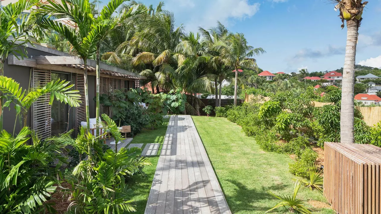 Villa Les Palmes in St Barths, photo 7 of 25