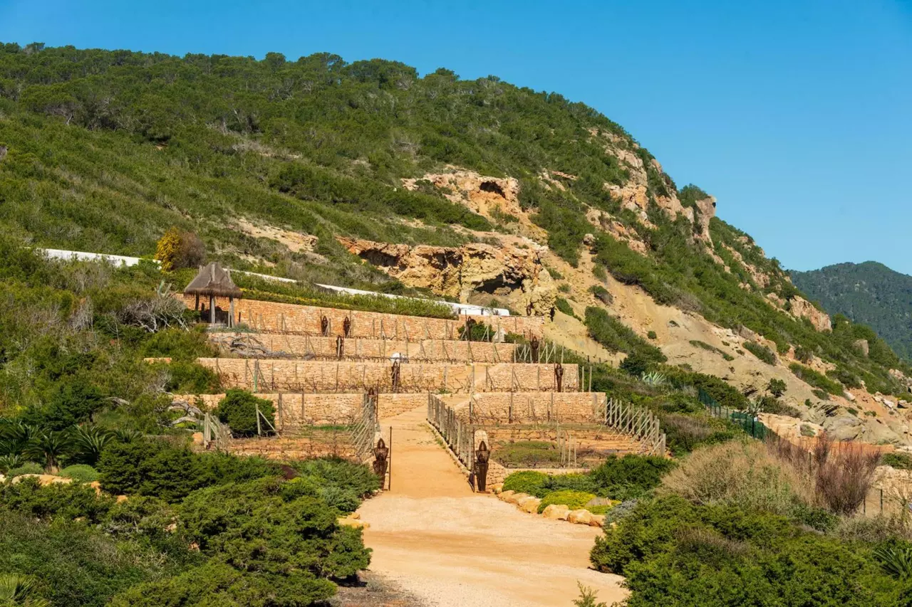 Villa Mayoas in Ibiza, photo 16 of 32