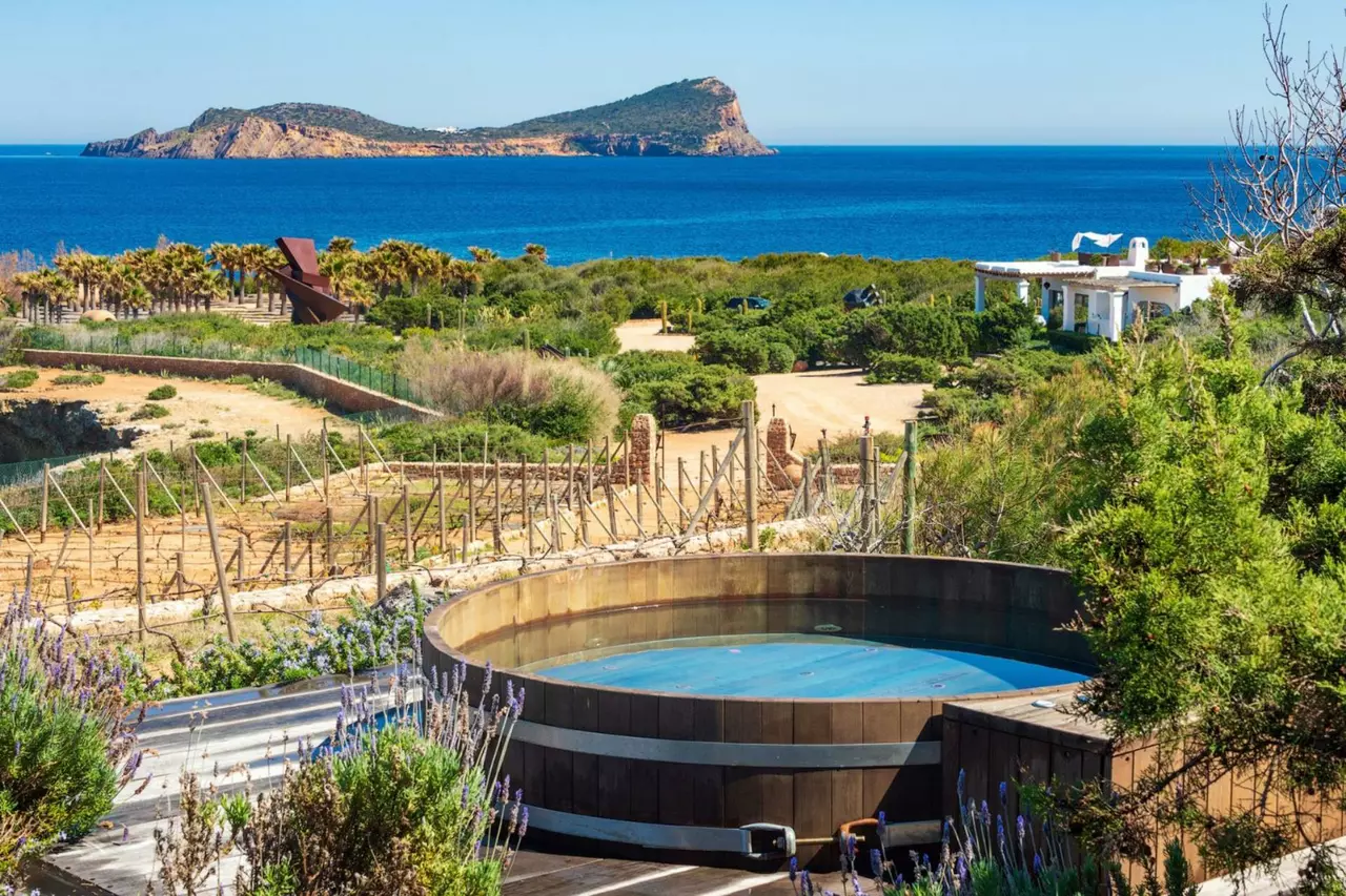 Villa Mayoas in Ibiza, photo 8 of 32