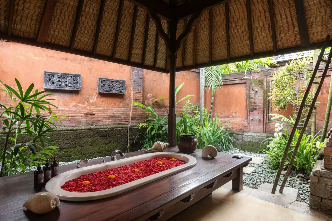 3-Bedroom Villa Sleeping 6, Canggu in Bali, photo 17 of 21