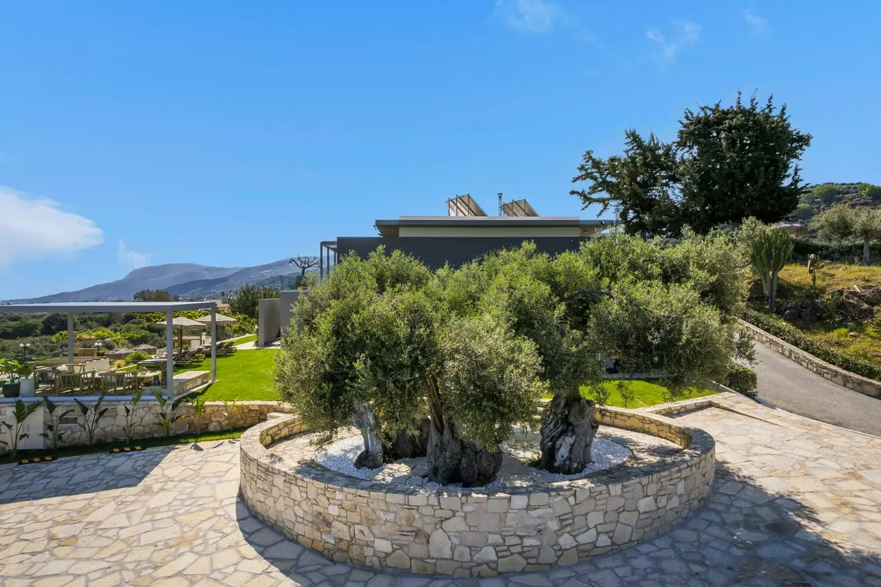 Villa Olive Nest in Crete, photo 23 of 48