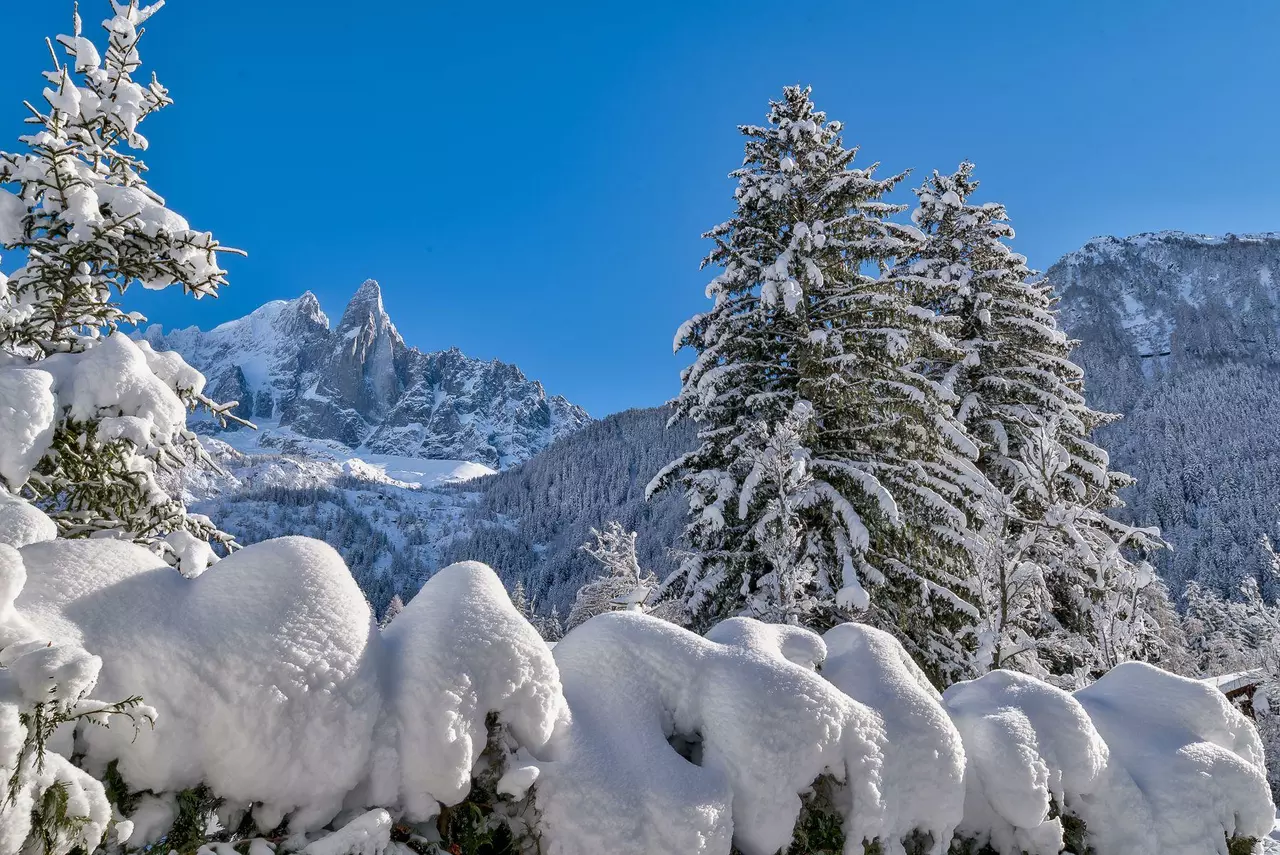 Chalet Black Wood in Chamonix, photo 11 of 24