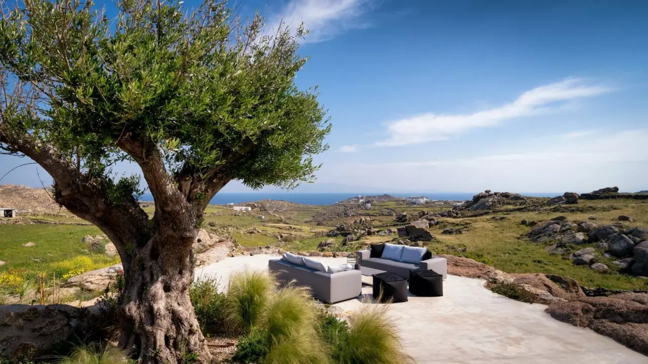 Villa Simone in Mykonos, photo 8 of 25