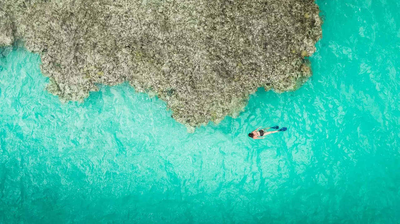 Villa Lily Pad in Bahamas, photo 11 of 24