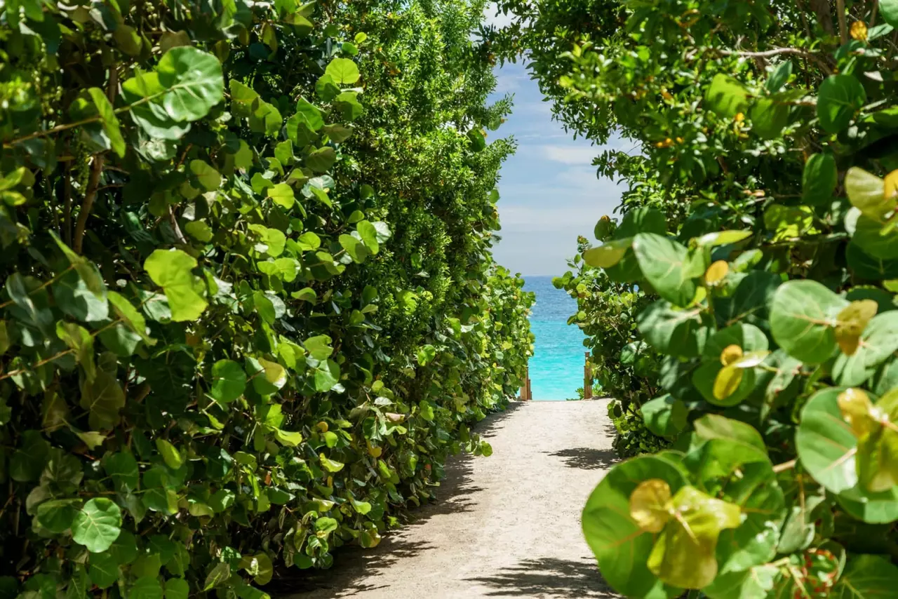 Villa Lily Pad in Bahamas, photo 21 of 24