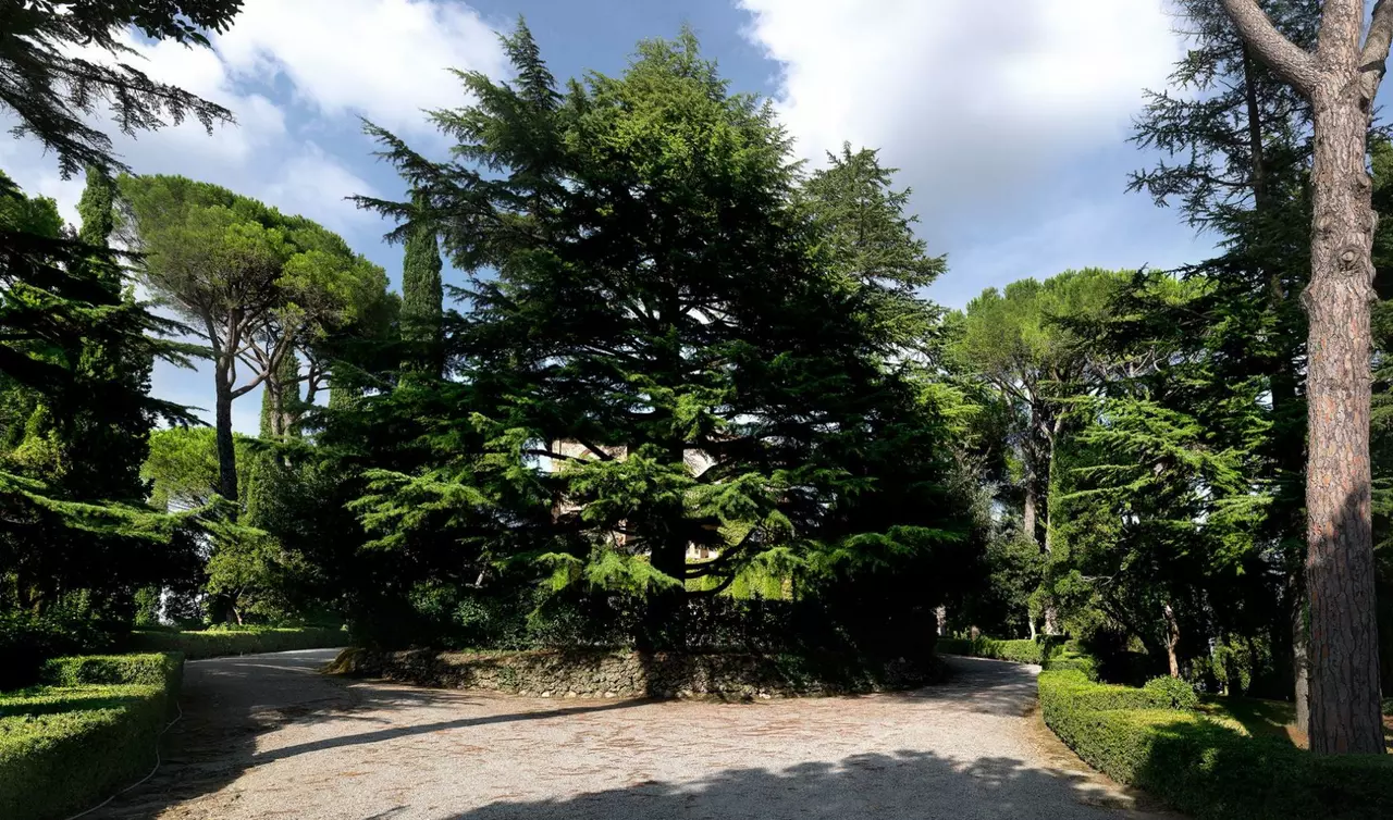 Villa Principe in Tuscany, photo 17 of 32