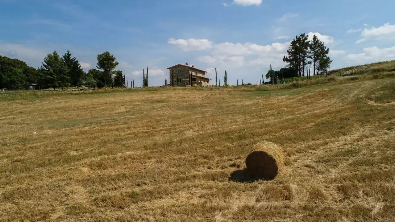 Villa Poggio Fibbia in Tuscany, photo 25 of 30