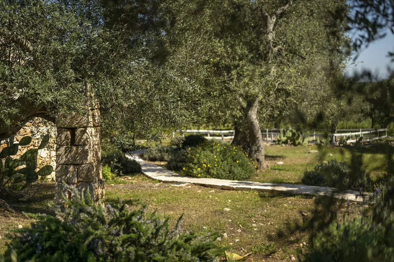 Villa Ostuni Art in Apulia (Puglia), photo 24 of 32