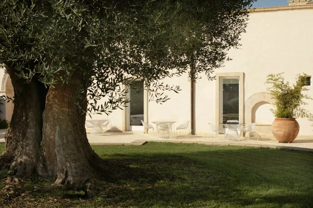 Masseria Antonio Augusto in Apulia (Puglia), photo 3 of 34