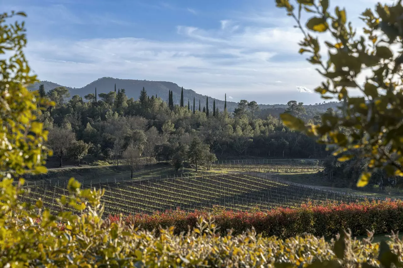 Bastide Margui in Provence, photo 27 of 27