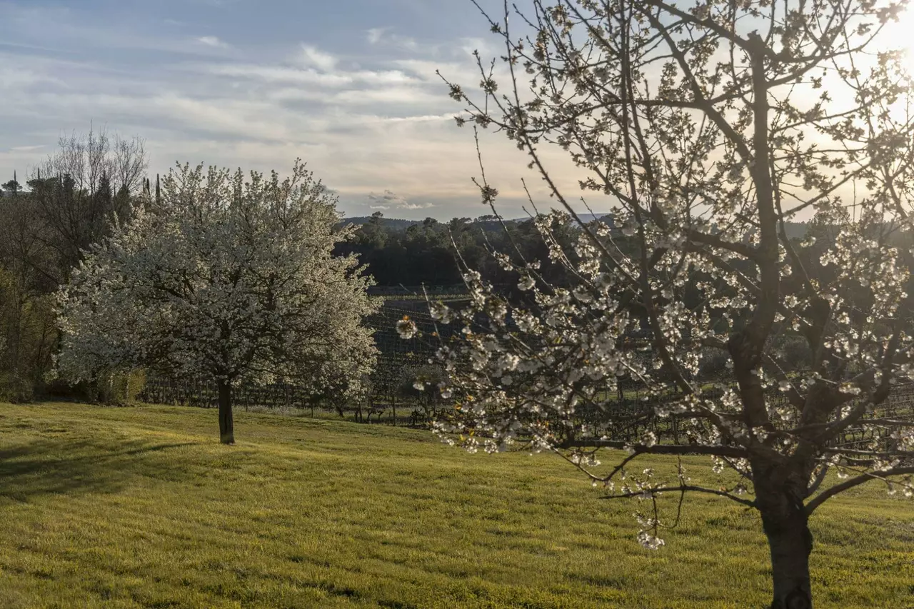 Bastide Margui in Provence, photo 8 of 27