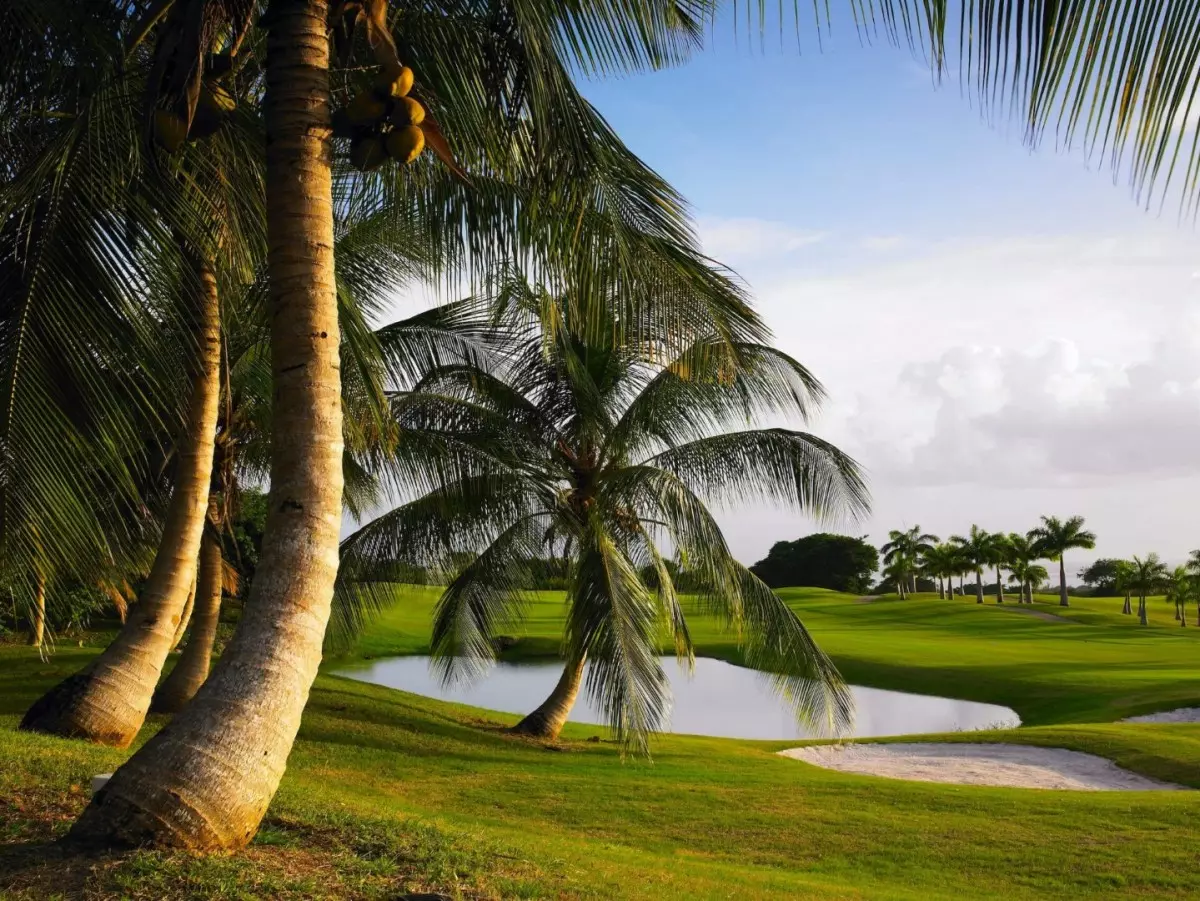 Villa Cherry in Barbados, photo 11 of 27