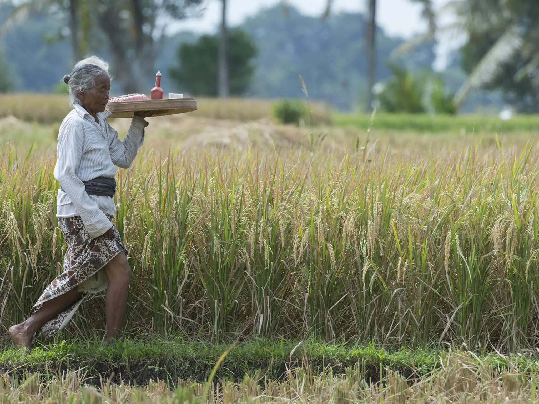 Tabanan 8723 - Kaba Kaba Estate · Asia & Middle East